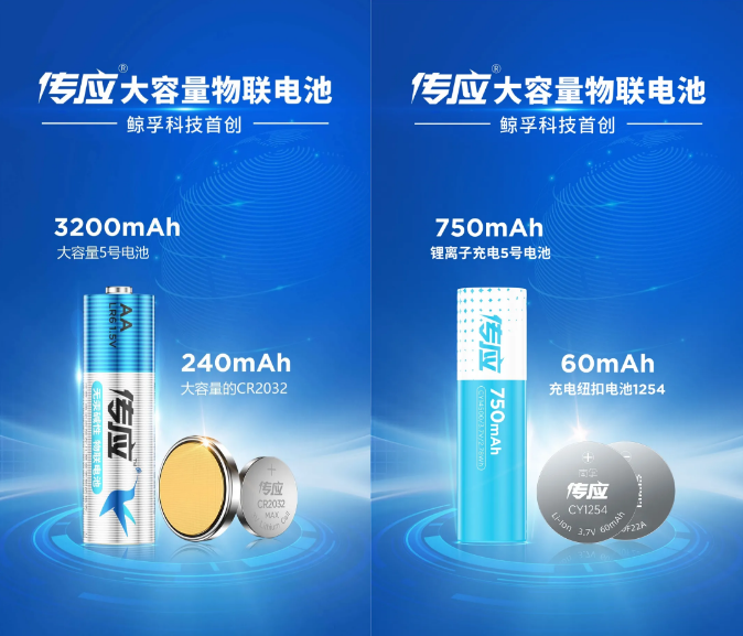邀请函｜大容量物联电池 传应 将亮相国际电池技术展(图6)